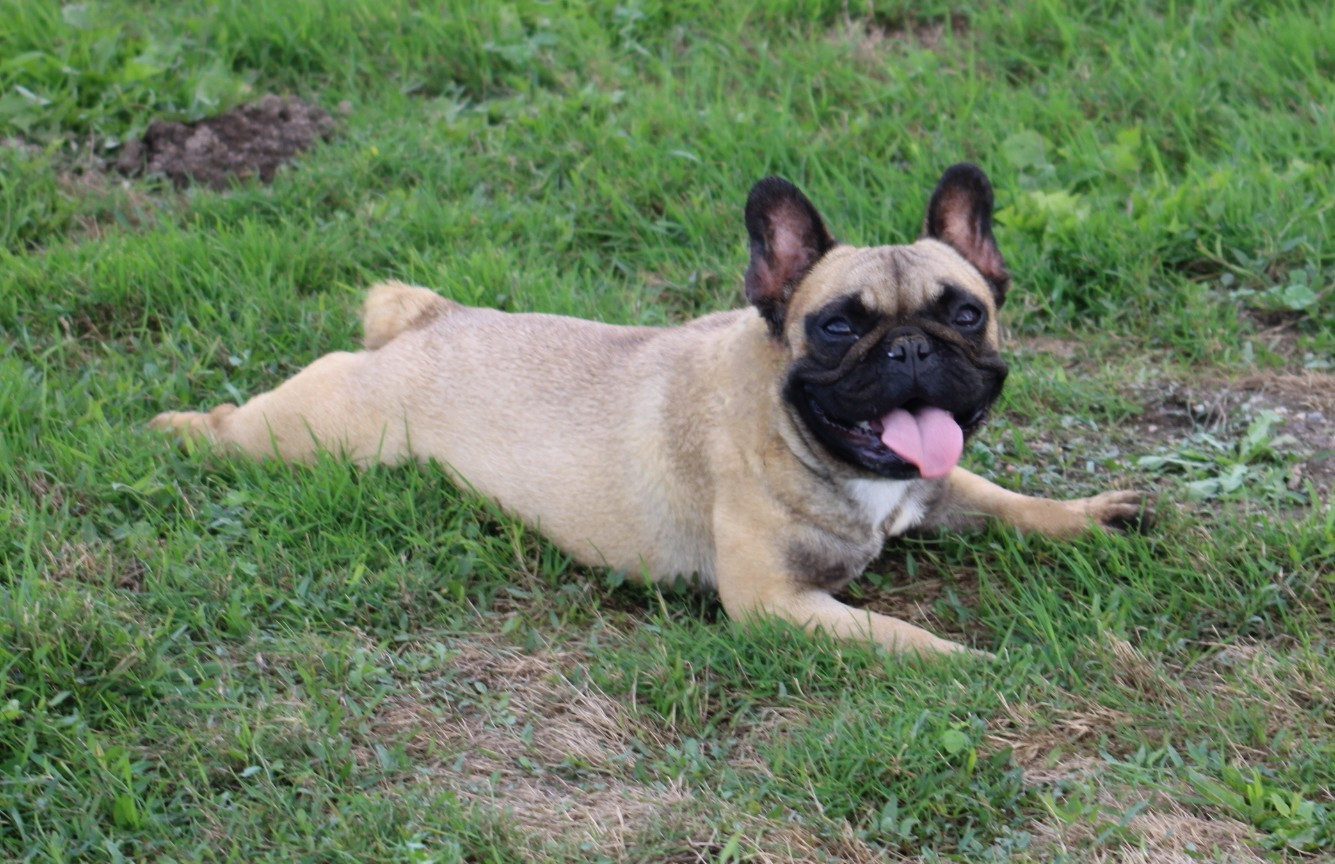 URIJANE du berger de la vallée des géants