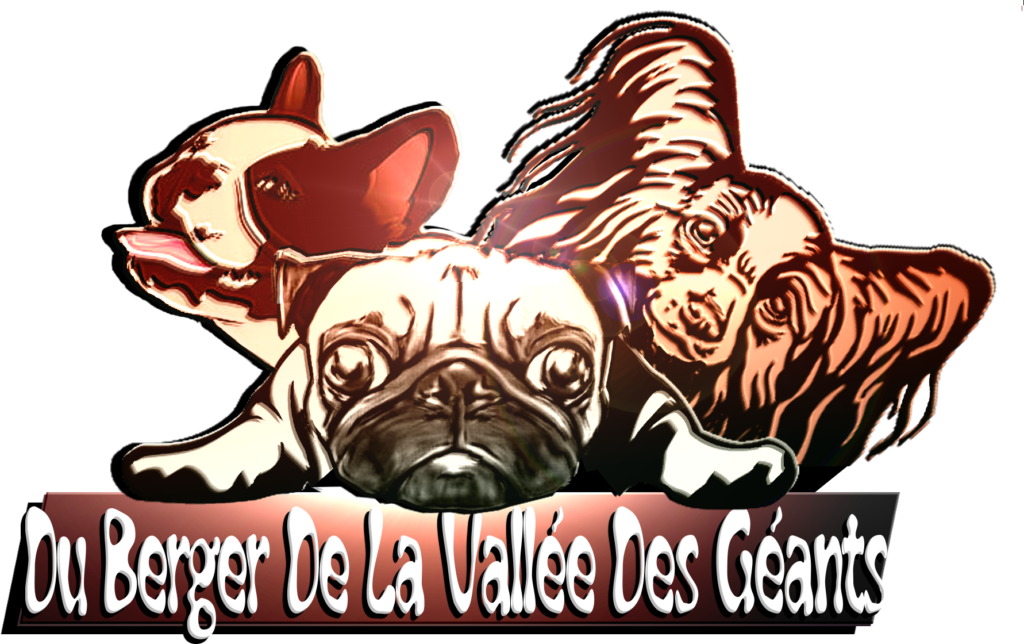 du berger de la vallée des géants